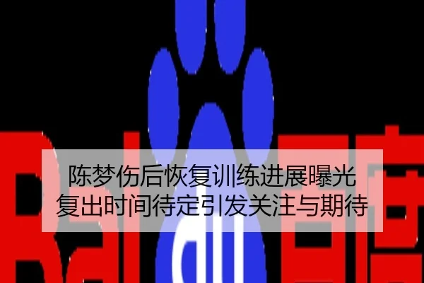 陈梦伤后恢复训练进展曝光 复出时间待定引发关注与期待